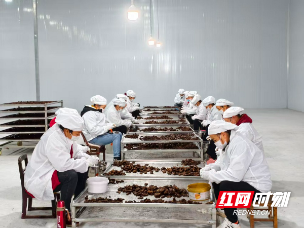 图片2.jpg 图片2.jpg