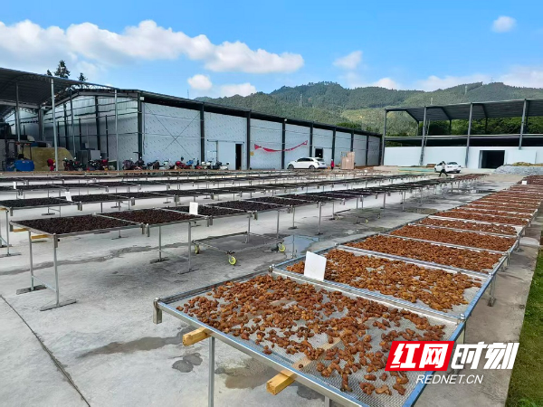 图片1.jpg 图片1.jpg