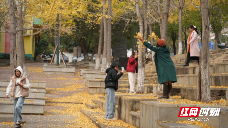 郴州宜章梧塘湖公园:斑斓初冬 多姿多彩(新媒体)204.png 郴州宜章梧塘湖公园:斑斓初冬 多姿多彩(新媒体)204.png