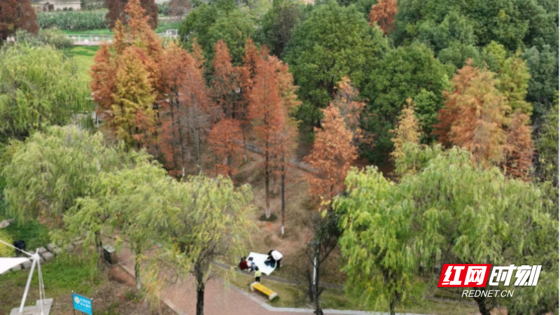 郴州宜章梧塘湖公园:斑斓初冬 多姿多彩(新媒体)199.png 郴州宜章梧塘湖公园:斑斓初冬 多姿多彩(新媒体)199.png