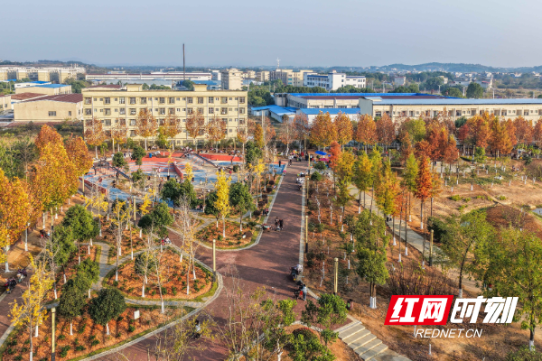 DJI_20251206162026_0091_D 拷贝.jpg