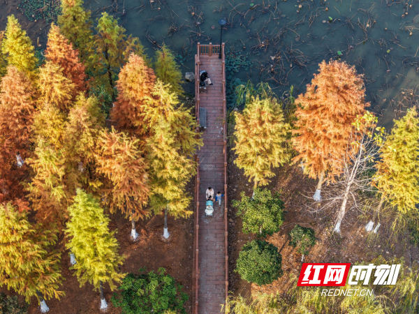 DJI_20251206160122_0036_D 拷贝.jpg