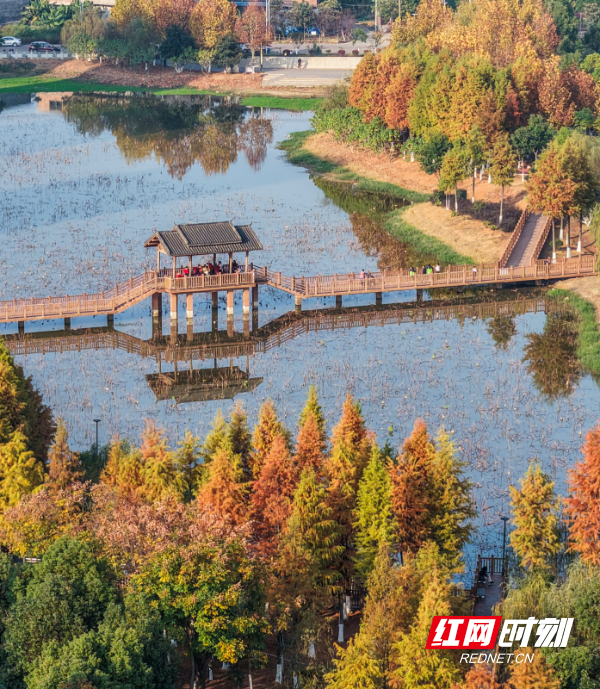 DJI_20251206155827_0028_D 拷贝.jpg