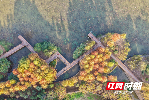 DJI_20251206160930_0053_D 拷贝.jpg