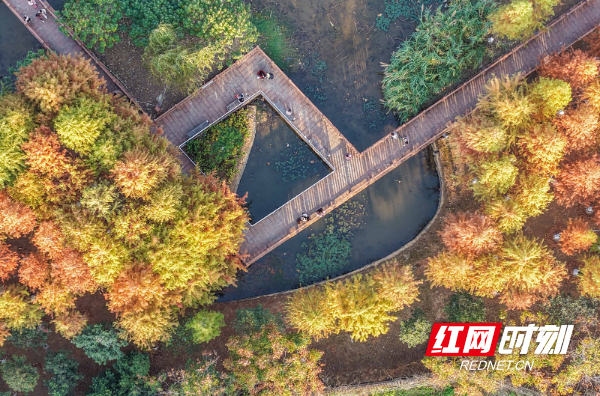 DJI_20251206160945_0055_D 拷贝.jpg