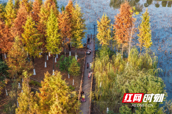 DJI_20251206161127_0064_D 拷贝.jpg