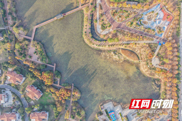 DJI_20251206161719_0080_D 拷贝.jpg