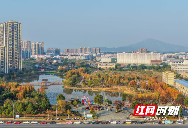 DJI_20251206161754_0081_D 拷贝.jpg