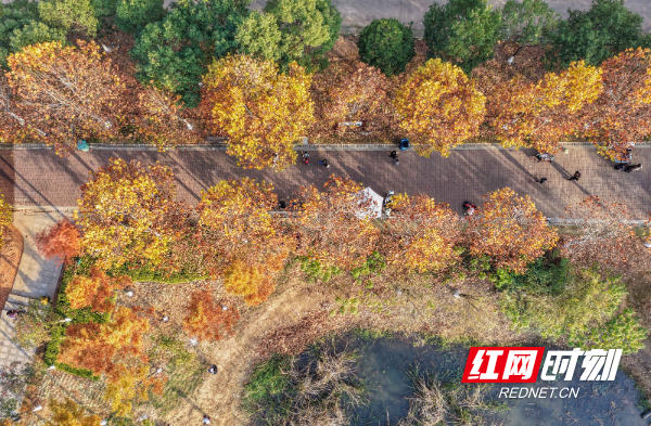 DJI_20251206161934_0087_D 拷贝.jpg