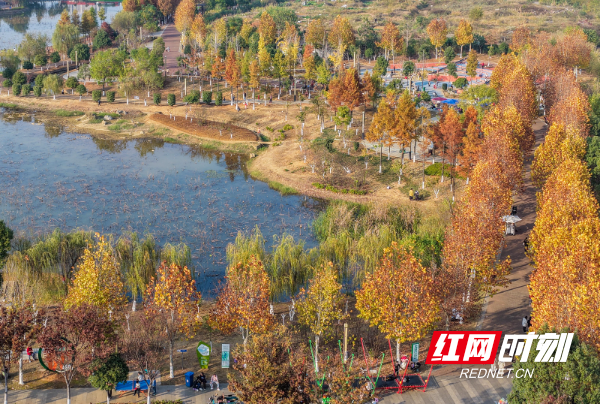 DJI_20251206155739_0026_D 拷贝.jpg