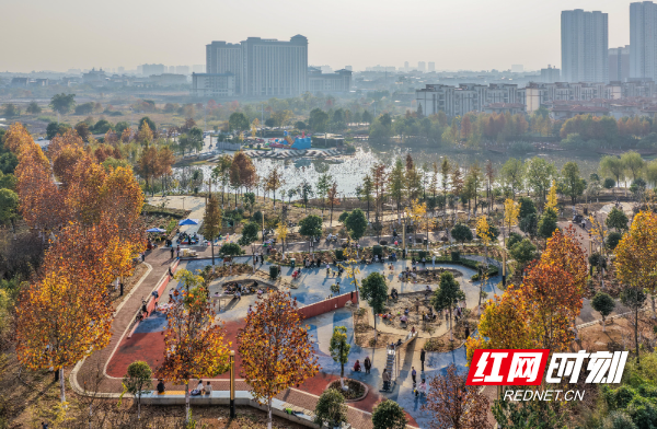 DJI_20251206155348_0018_D 拷贝.jpg