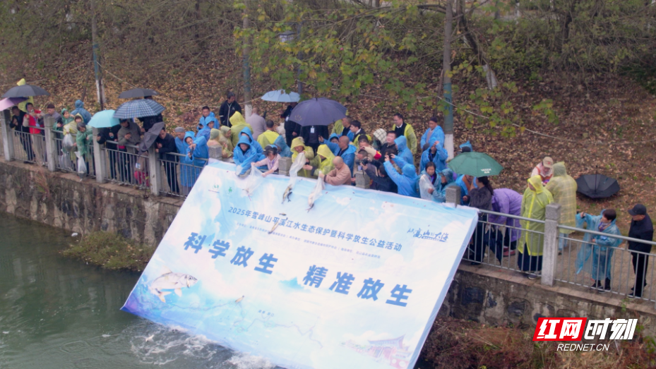 微信图片_20251207145346_42_85.jpg 微信图片_20251207145346_42_85.jpg