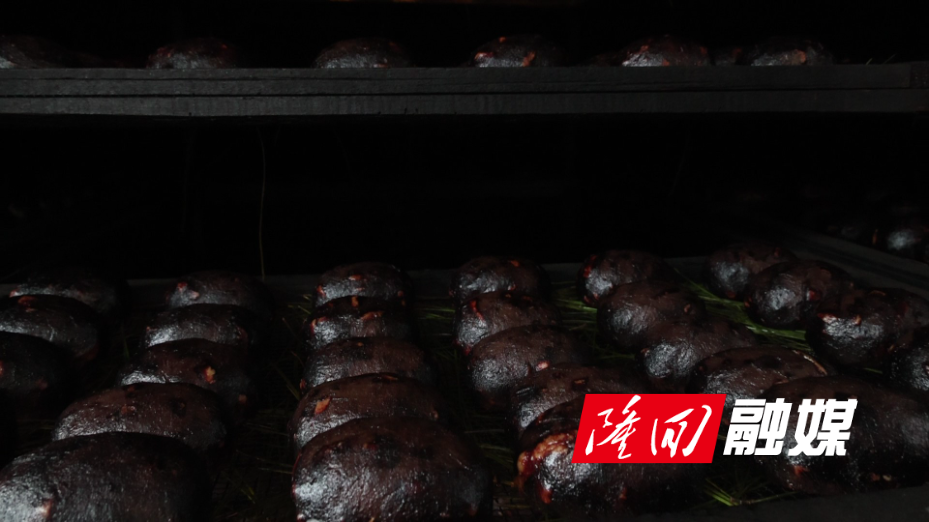 2B0A7795.jpg 2B0A7795.jpg