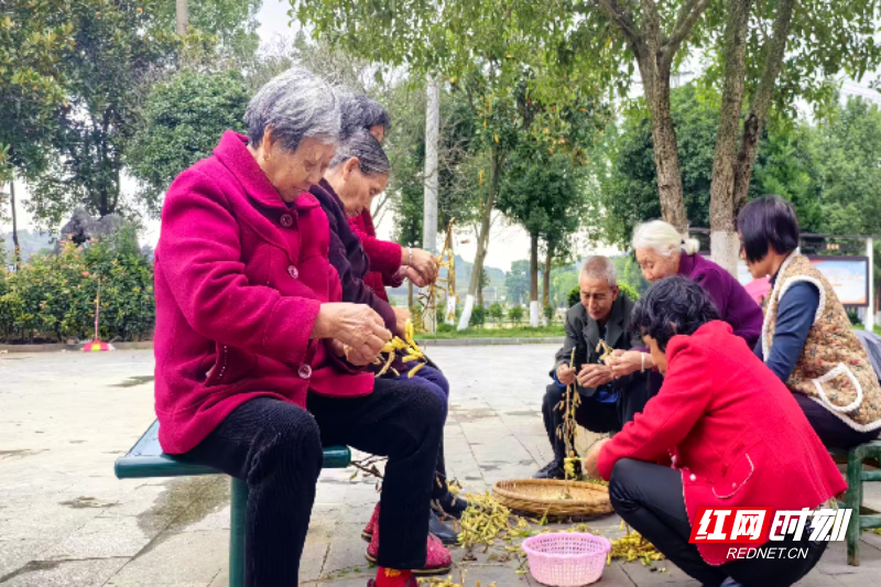 微信图片_2025-12-09_083909_887.png 微信图片_2025-12-09_083909_887.png