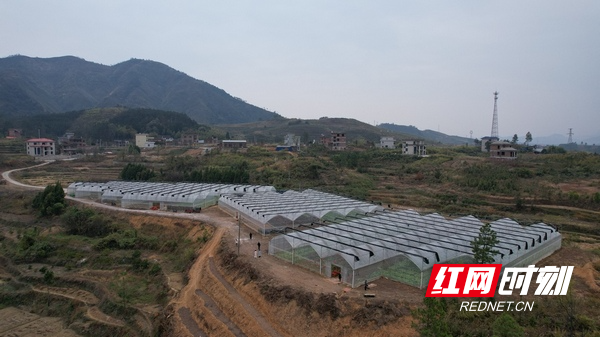 DJI_0882.JPG DJI_0882.JPG