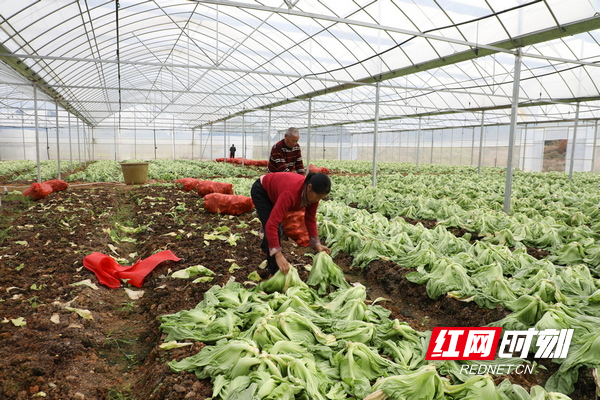 GN7A9463.JPG GN7A9463.JPG