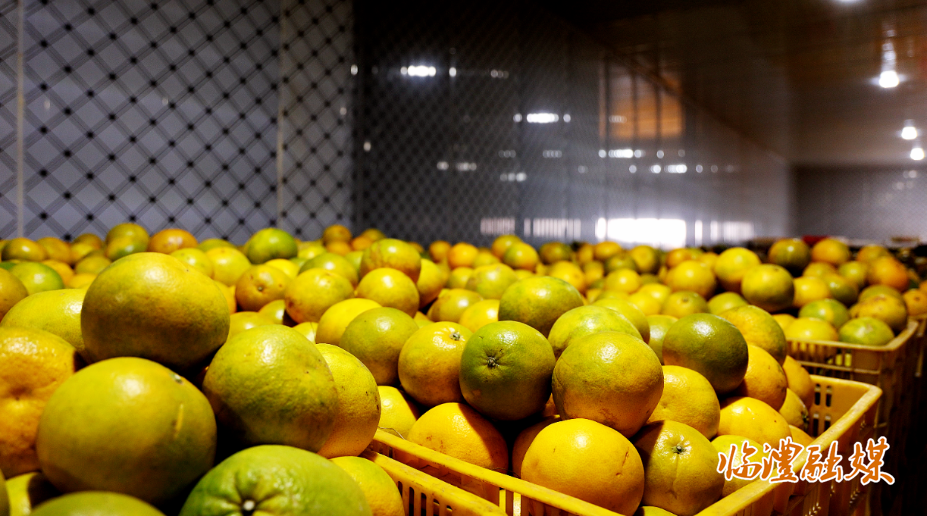 ScreenShot_2025-12-10_094928_337.png ScreenShot_2025-12-10_094928_337.png