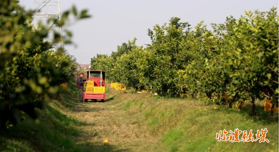 ScreenShot_2025-12-10_094914_328.png ScreenShot_2025-12-10_094914_328.png