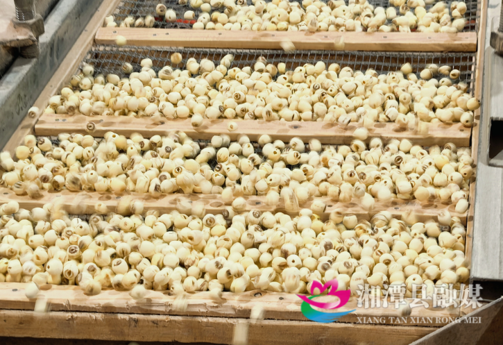 图片05.png 图片05.png