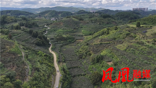 Still1211_00018_副本.png Still1211_00018_副本.png