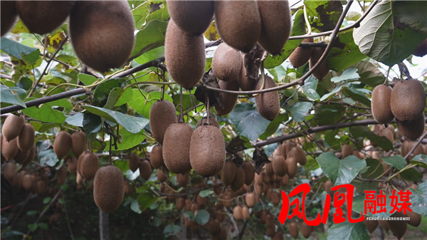 Still1211_00003.png Still1211_00003.png