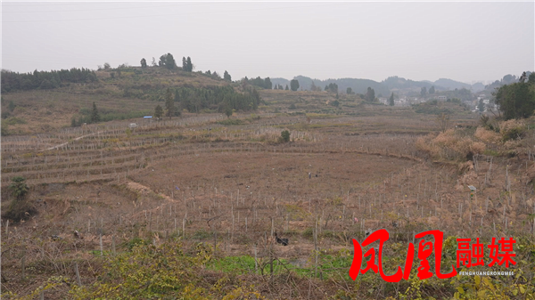 Still1211_00001.png Still1211_00001.png