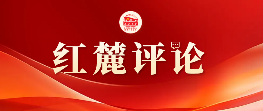 专题 | 红麓评论