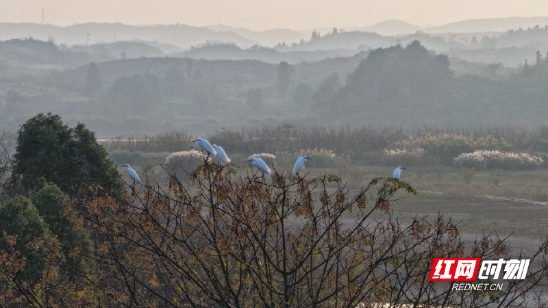 2A45CD2E83001BAE255617C228B71DBA_副本.jpg 2A45CD2E83001BAE255617C228B71DBA_副本.jpg