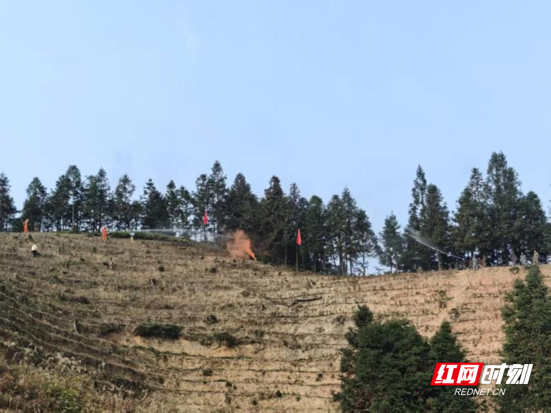 图片2.png 图片2.png