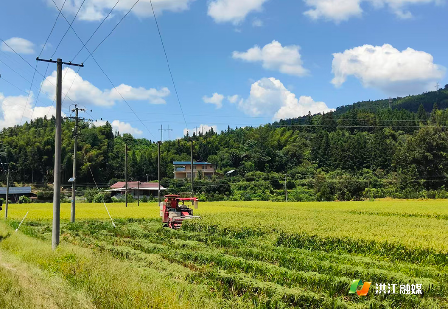 洪江市熟坪社区:村集体经济破百万 乡村振兴添动能.jpg 洪江市熟坪社区:村集体经济破百万 乡村振兴添动能.jpg