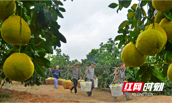 111111226.jpg 111111226.jpg