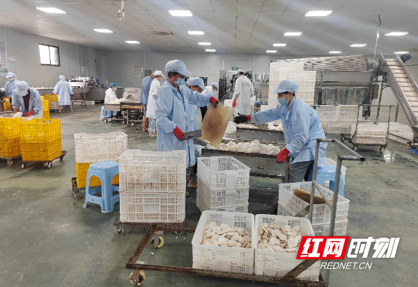 江永:“12345”工作法铺就乡村振兴“致富路”1.jpg 江永:“12345”工作法铺就乡村振兴“致富路”1.jpg