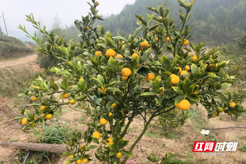 312f44c52d14fa70177029b2e2f5c1de.jpg 312f44c52d14fa70177029b2e2f5c1de.jpg