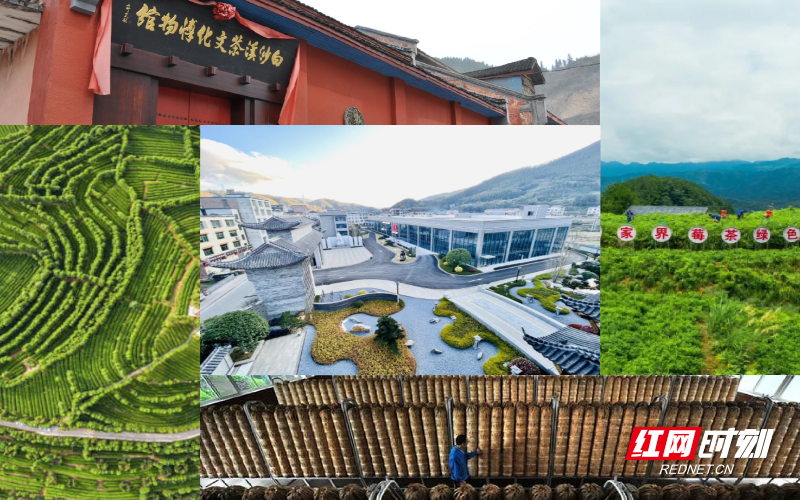 微信图片_20251212131139_1189_31.jpg 微信图片_20251212131139_1189_31.jpg