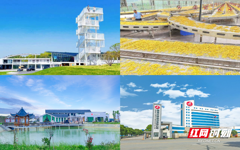 微信图片_20251212131138_1188_31.jpg 微信图片_20251212131138_1188_31.jpg