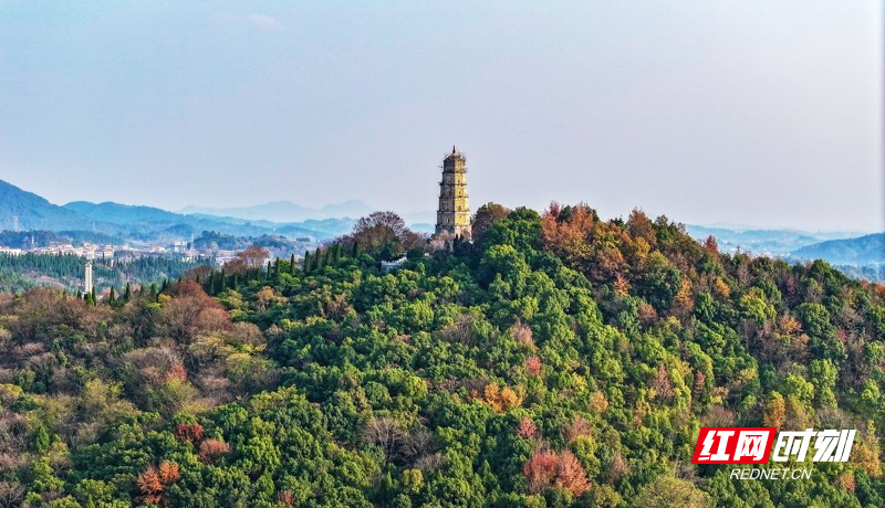 湖南新田:翰林山色彩斑斓冬景如画6_.jpg