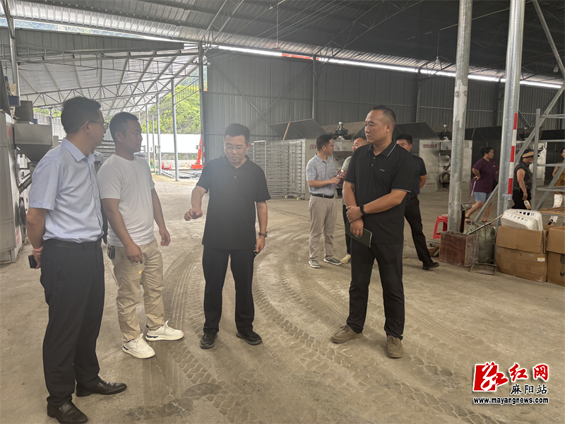 微信图片_20251212153309.jpg 微信图片_20251212153309.jpg