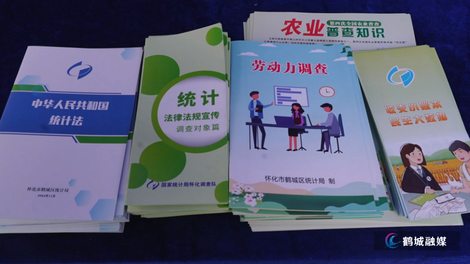 鹤城区启动统计法治宣传月.mp4_000009.303.png 鹤城区启动统计法治宣传月.mp4_000009.303.png