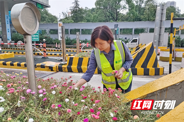 投红网01.png 投红网01.png