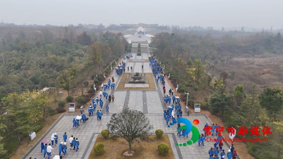 Still1212_00001_看图王.png Still1212_00001_看图王.png