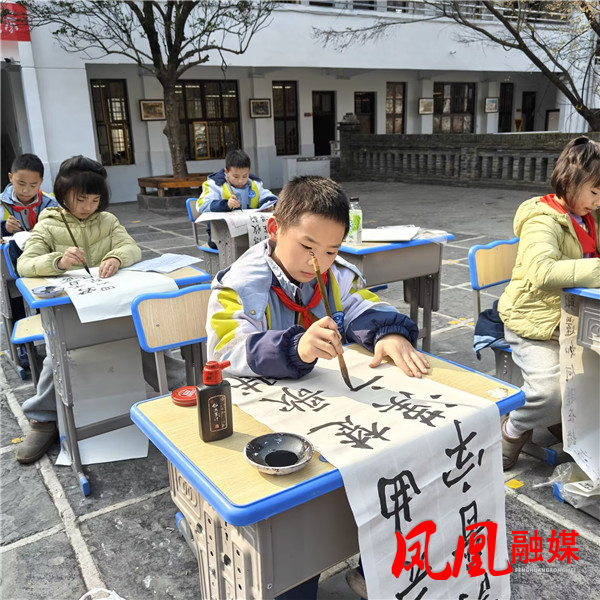 1765502025594.jpg 1765502025594.jpg