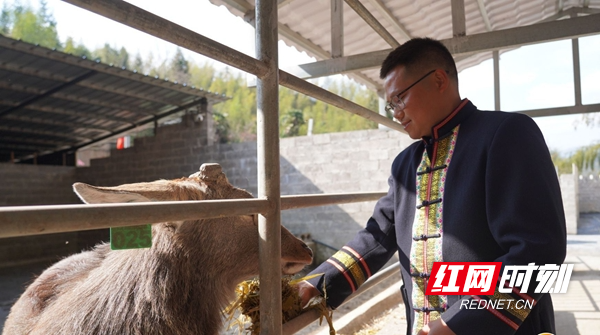 0ed6c45ea77a70c72b4f25b3c6edff23.jpeg 0ed6c45ea77a70c72b4f25b3c6edff23.jpeg