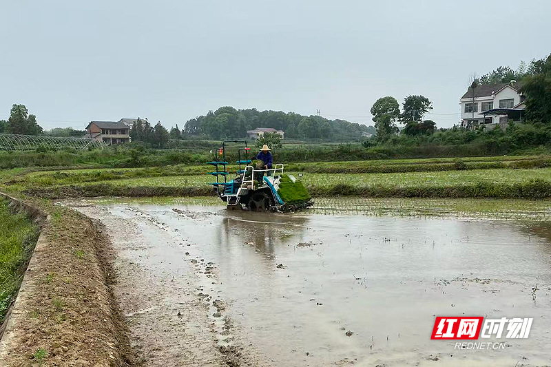 1副本.jpg 1副本.jpg