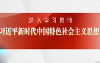 学习贯彻习近平新时代中国特色社会主义思想