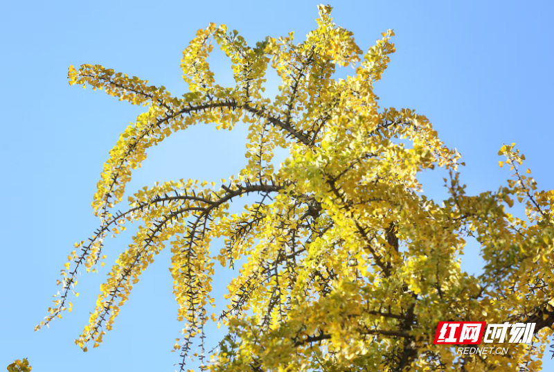 3d7959b1b99d1e077b317eeadbd2715f.jpg 3d7959b1b99d1e077b317eeadbd2715f.jpg