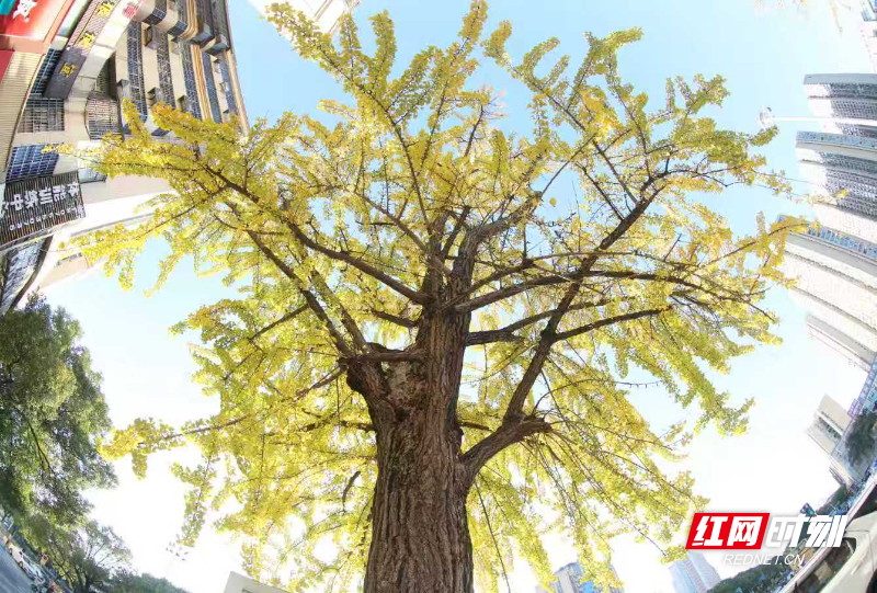 944082da4d7ff1a997010f40e14057c0.jpg 944082da4d7ff1a997010f40e14057c0.jpg