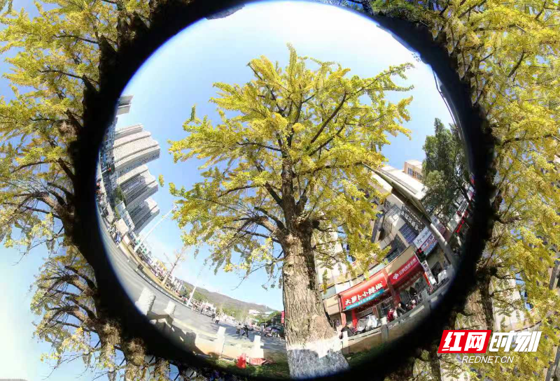 a575276e489851013bbf45651207ea8d.jpg a575276e489851013bbf45651207ea8d.jpg