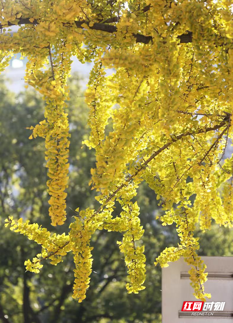 83ba84619eee76c677060d317388f4ce.jpg 83ba84619eee76c677060d317388f4ce.jpg