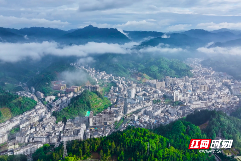 图片 1.png 图片 1.png