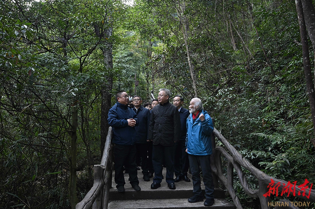 沈晓明赴郴州市开展巡林工作